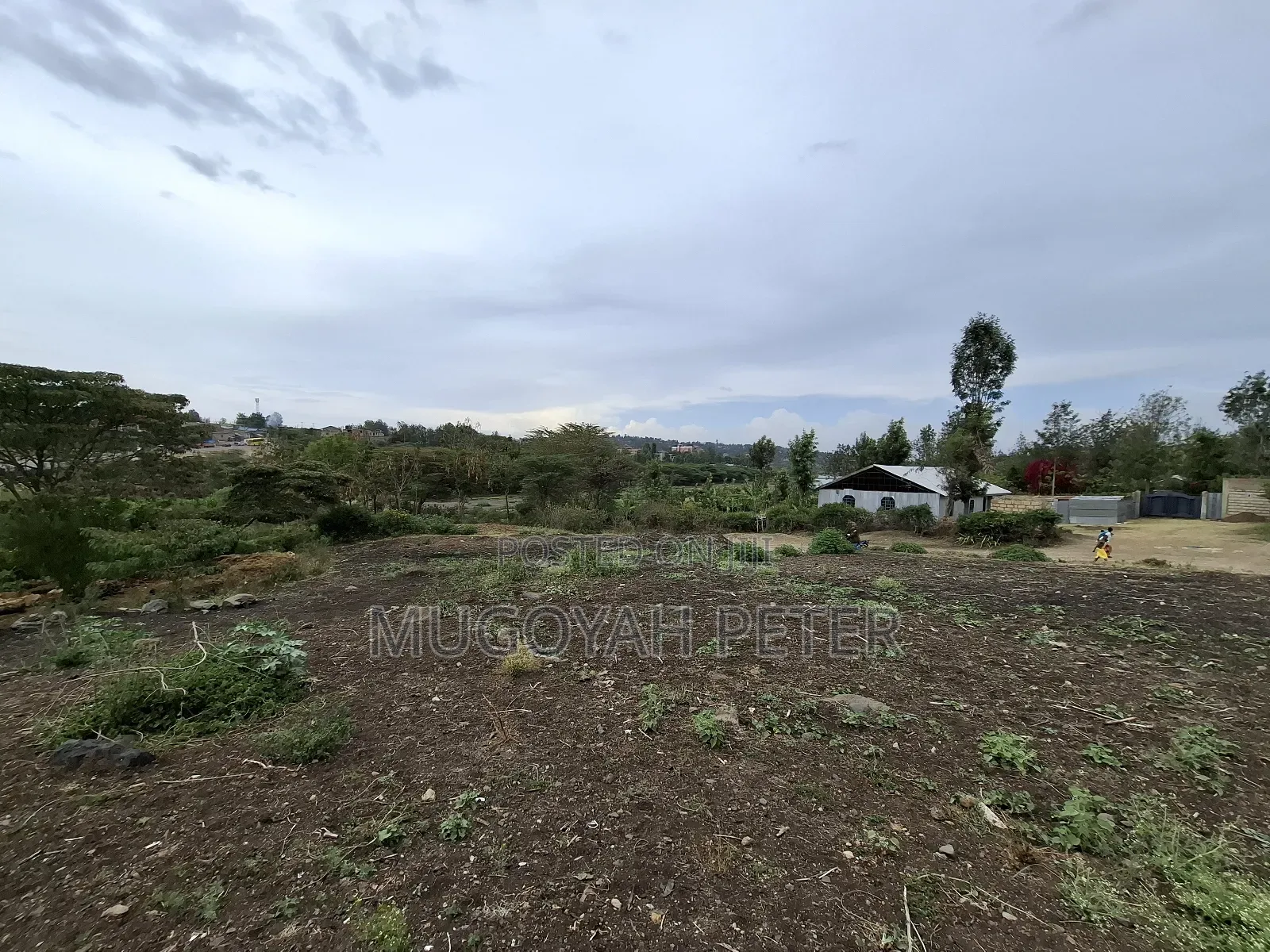 Prime Two Acres Block