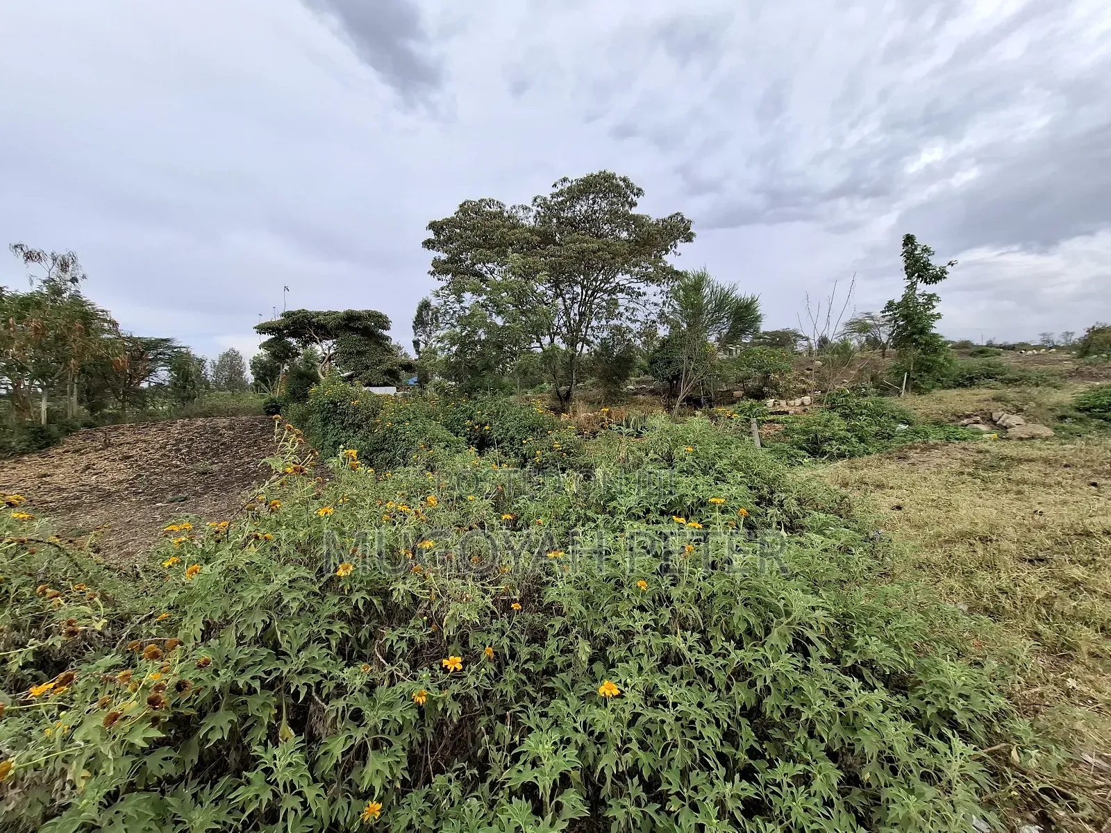 Prime Two Acres Block