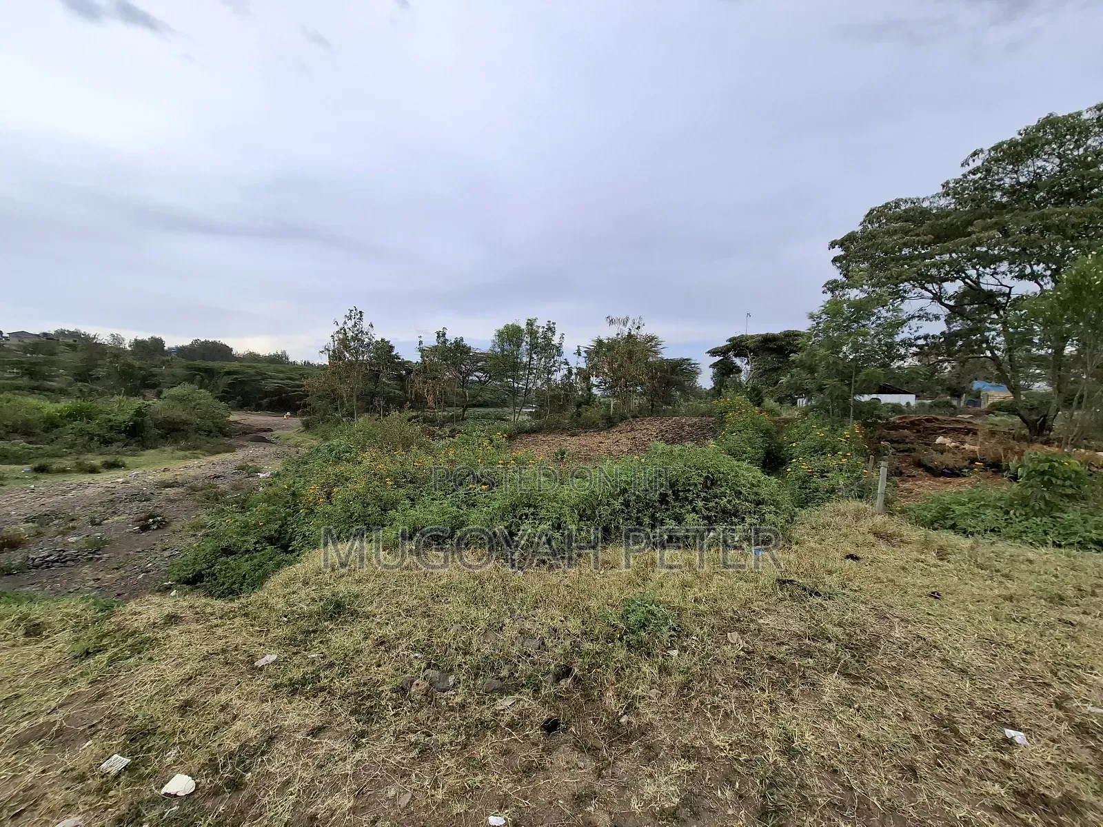 Prime Two Acres Block