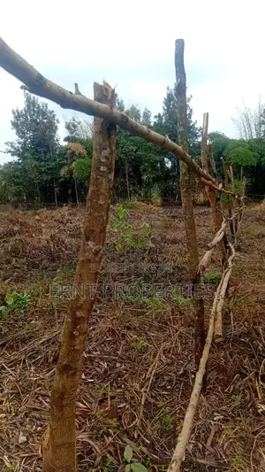 Prime Residential Half Acre for Sale in Kamiti Road