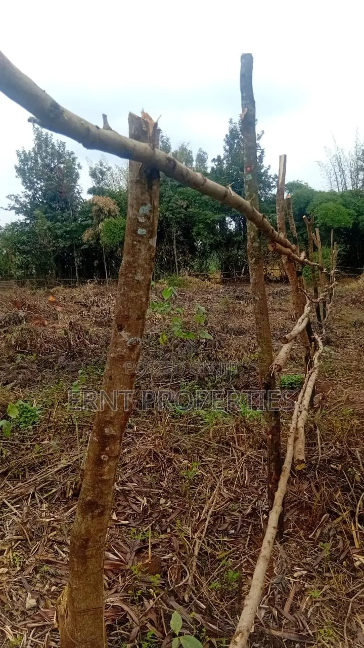 Prime Residential Half Acre for Sale in Kamiti Road