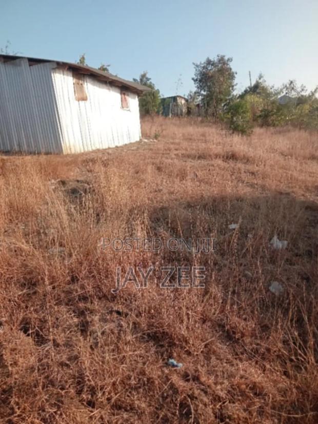 Plot for Sale - main view