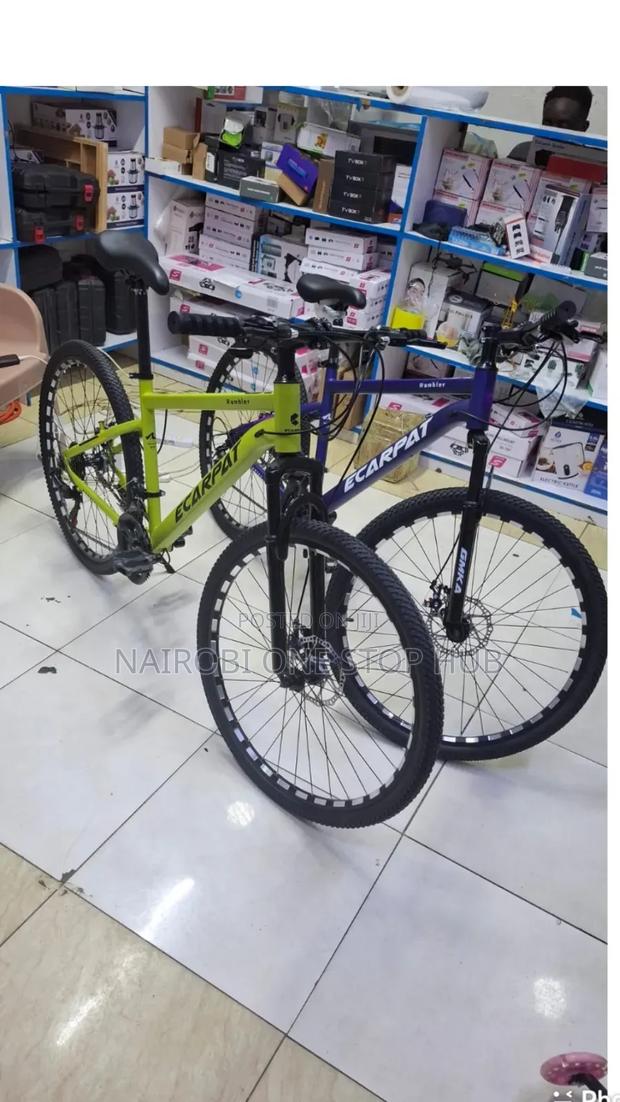Ecarpat Size 26 Mountain Bike With Gear