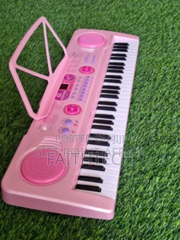 Professional Piano With in Built Battery