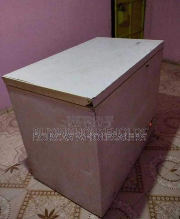 Rebune Deep Freezer Capacity 250l