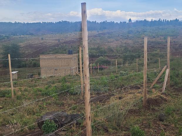 Kamangu, Ndiguini - Prime Plots - thumbnail 6