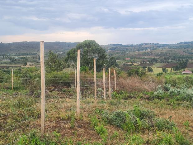 Kamangu, Ndiguini - Prime Plots - thumbnail 10