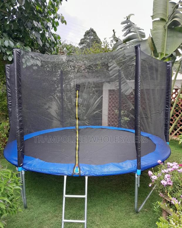 Trampoline Days Are the Best - main view