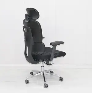 Office Chairs; High-Back Orthopedic Executive Seating Solution