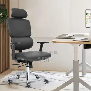 Office Chairs; High-Back Orthopedic Executive Seating Solution
