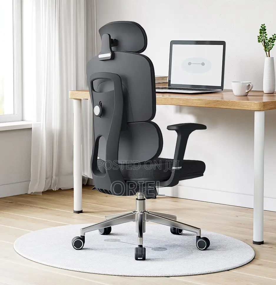 Office Chairs; High-Back Orthopedic Executive Seating Solution