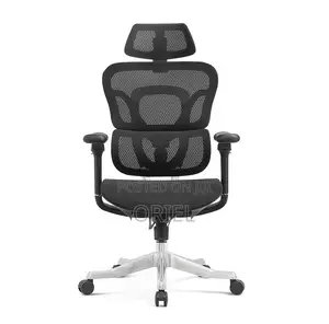 Office Chairs; Corporate Orthopedic Executive Office Armchair