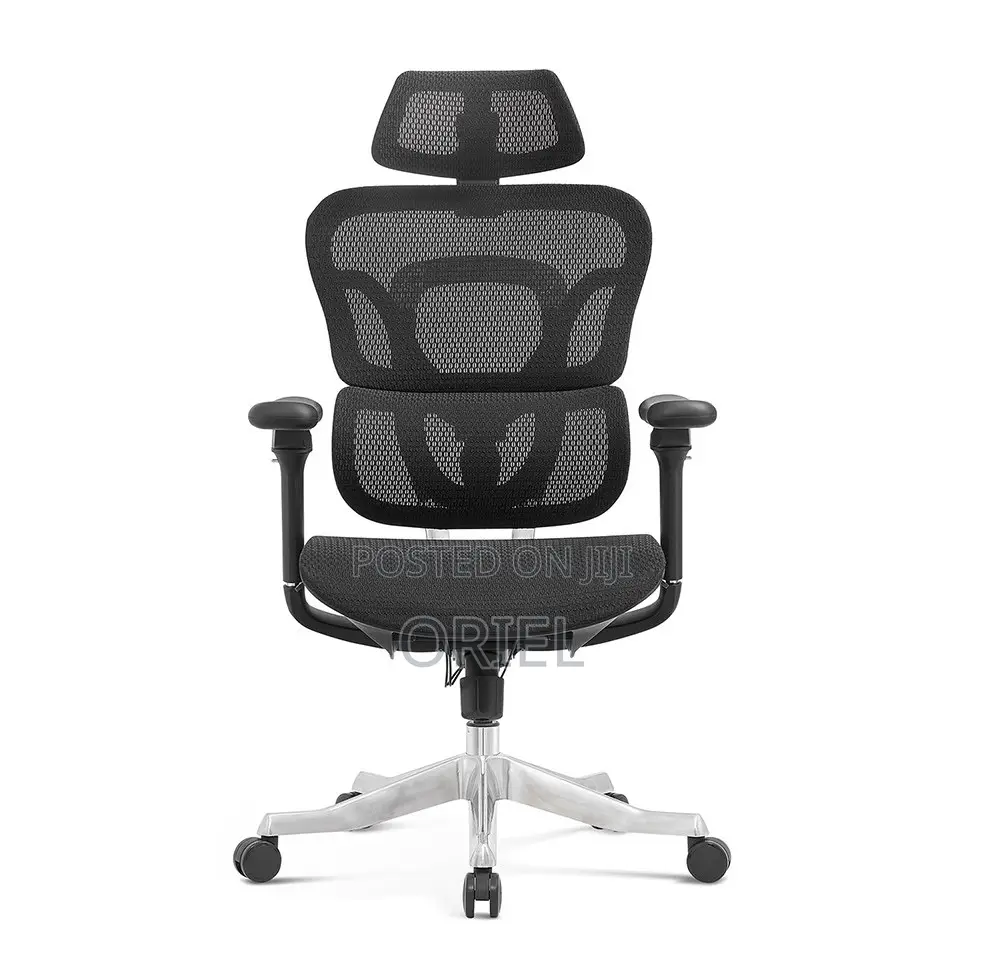 Office Chairs; Corporate Orthopedic Executive Office Armchair