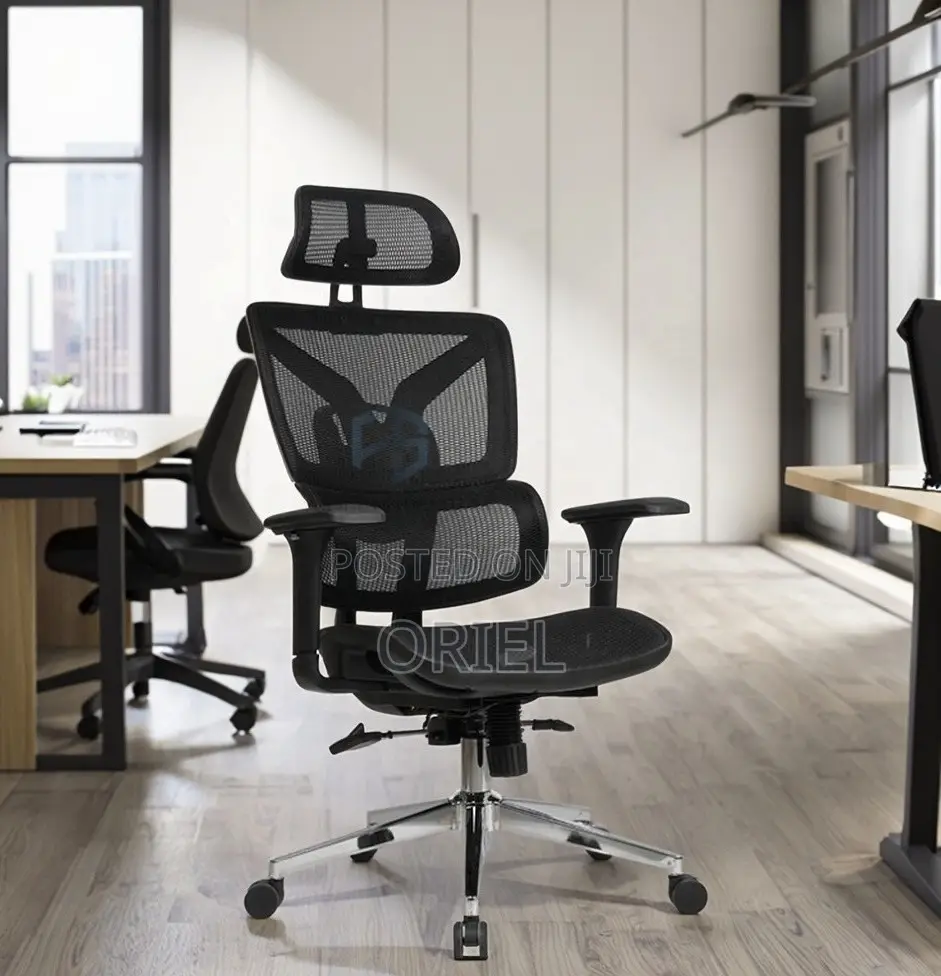 Office Chairs; Corporate Orthopedic Executive Office Armchair