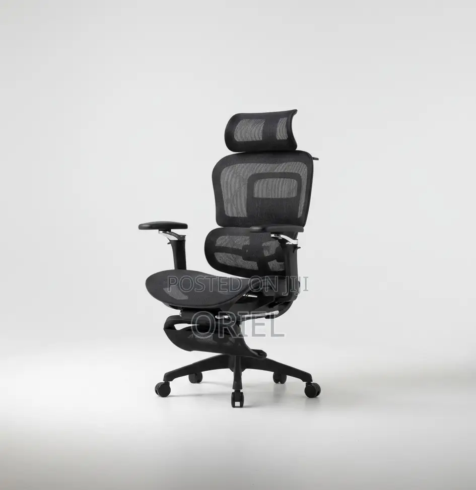 Office Chairs; Corporate Orthopedic Executive Office Armchair