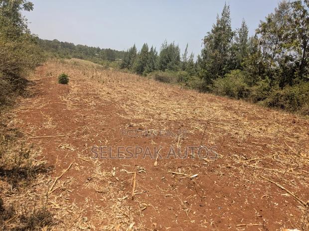 Land for Lease in Bondo(3 Acres) - main view