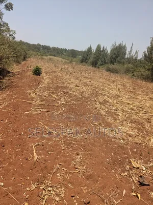 Land for Lease in Bondo(3 Acres)