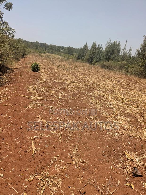 Land for Lease in Bondo(3 Acres) - thumbnail 3