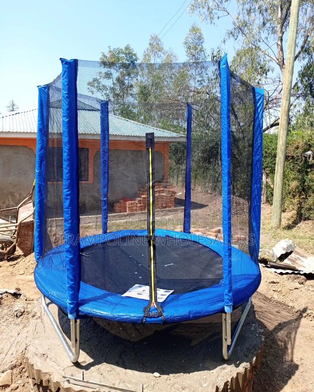 Trampoline Bouncing Into Happiness - main view