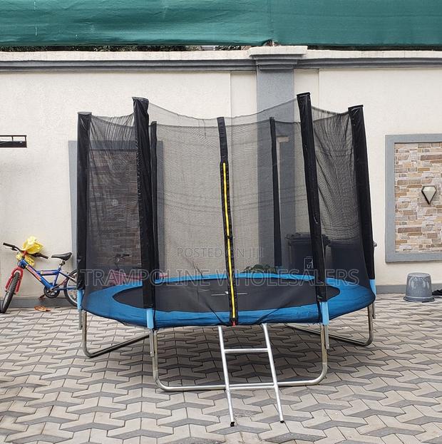 Trampoline Fun Never Gets Old - main view