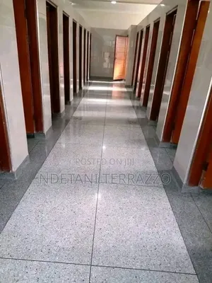 Terrazzo Cleaning and Polishing