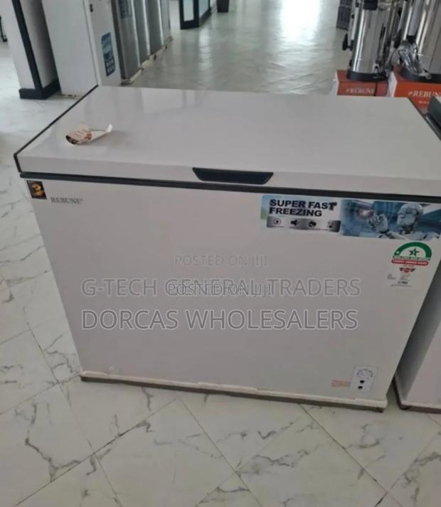 Commercial New Rebune 200l Freezer - main view