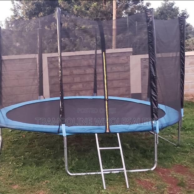 Trampoline Cheers and Happy Tears - main view