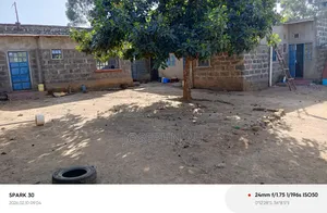 50*100 in Maili Saba Bahati