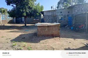 50*100 in Maili Saba Bahati