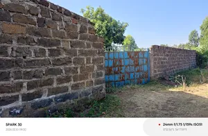 50*100 in Maili Saba Bahati