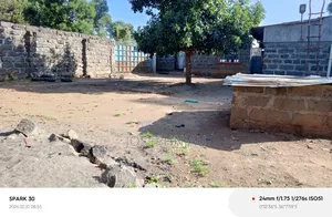 50*100 in Maili Saba Bahati