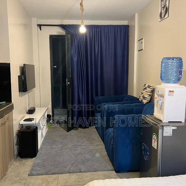 Spacious Clean and Affordable Studio Along Thika Road Roysambu - main view