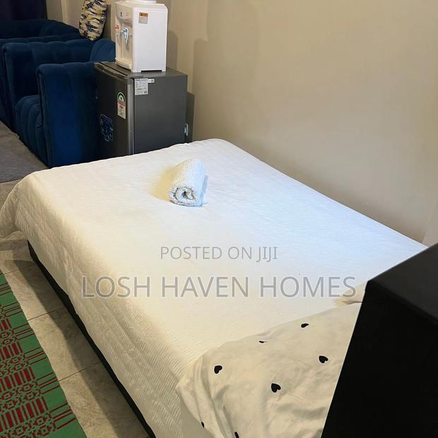 Spacious Clean and Affordable Studio Along Thika Road Roysambu - thumbnail 3