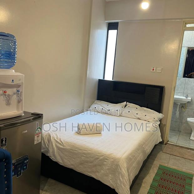 Spacious Clean and Affordable Studio Along Thika Road Roysambu - thumbnail 4