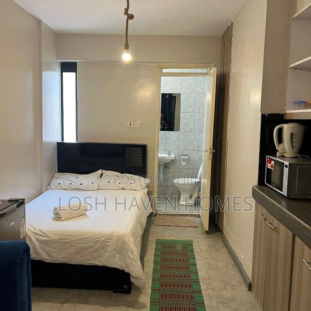 Spacious Clean and Affordable Studio Along Thika Road Roysambu - thumbnail 6