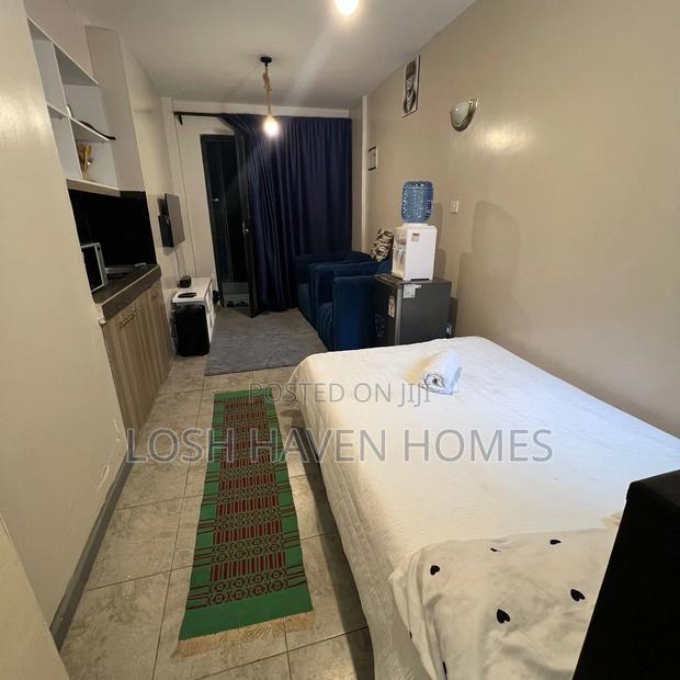 Spacious Clean and Affordable Studio Along Thika Road Roysambu - thumbnail 7