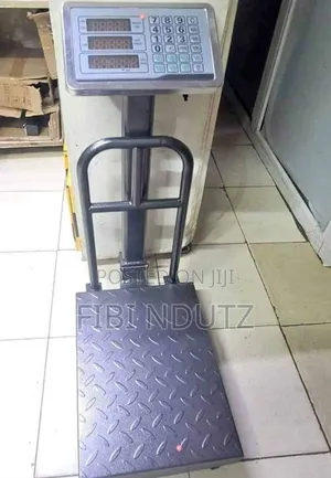 Affordable Digital Weighing Scale/150kgs Weighing Scale