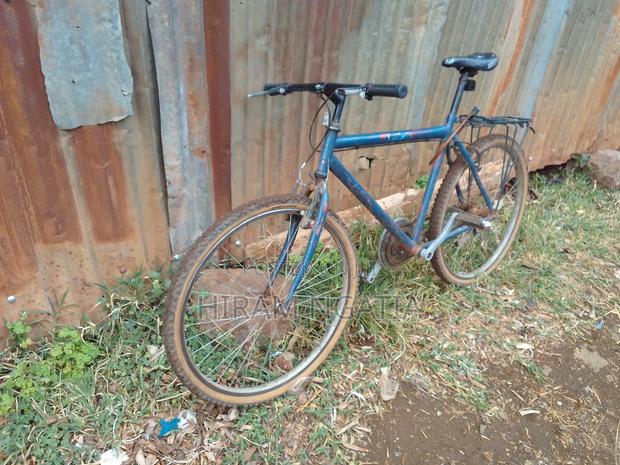 Size 26 Adult Bicycle - thumbnail 2