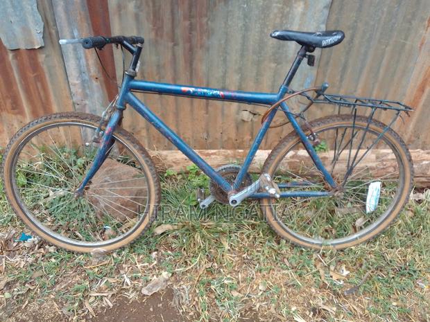 Size 26 Adult Bicycle - thumbnail 3