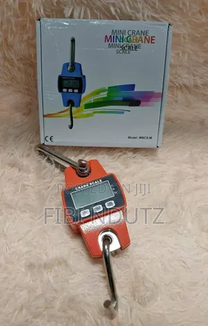 300kgs Digital Scale/300kgs Crane Scale