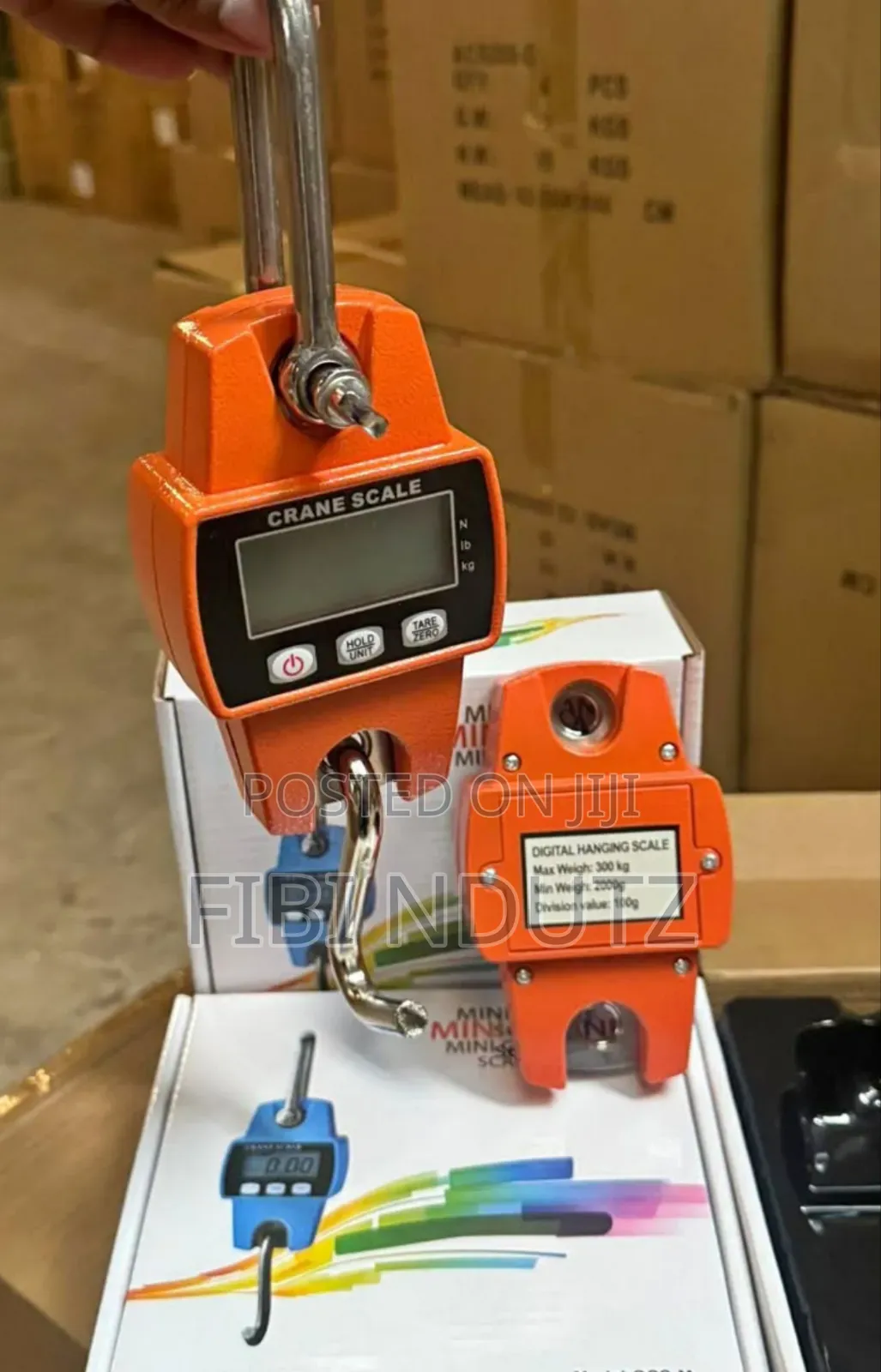 Approved Crane Scale/Hanging Scale 300kgs