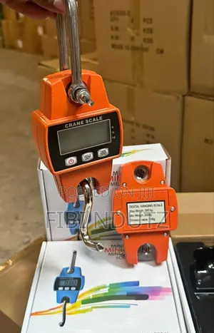 Approved Crane Scale/Hanging Scale 300kgs