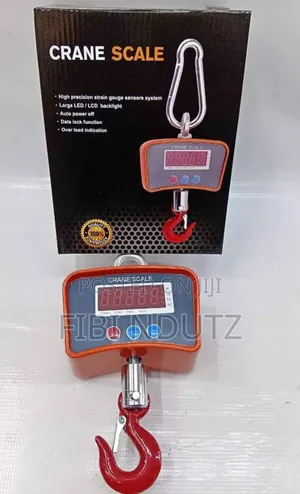 Commercial 500kgs Weighing Scale/Digital Crane Scale 500kgs