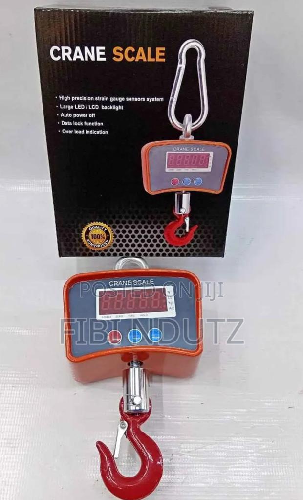Commercial 500kgs Weighing Scale/Digital Crane Scale 500kgs