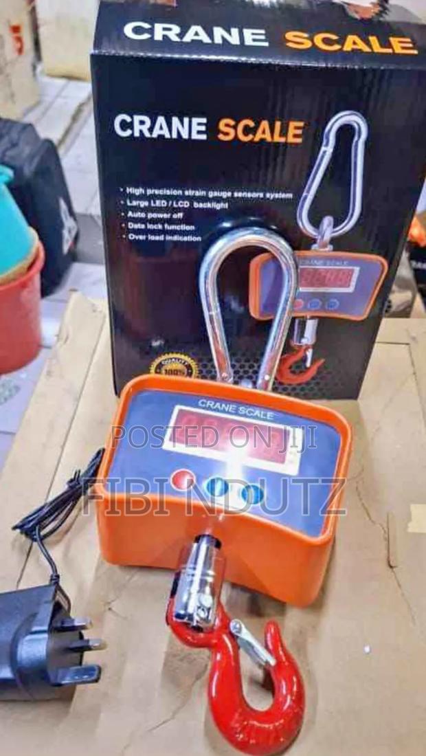 Digital Crane Scale/Heavy Duty Crane Scale 500kgs - main view