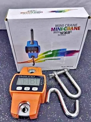 Mini Crane Scale/Crane Scale 300kgs