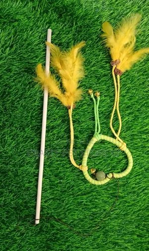 Cat Wand Toy
