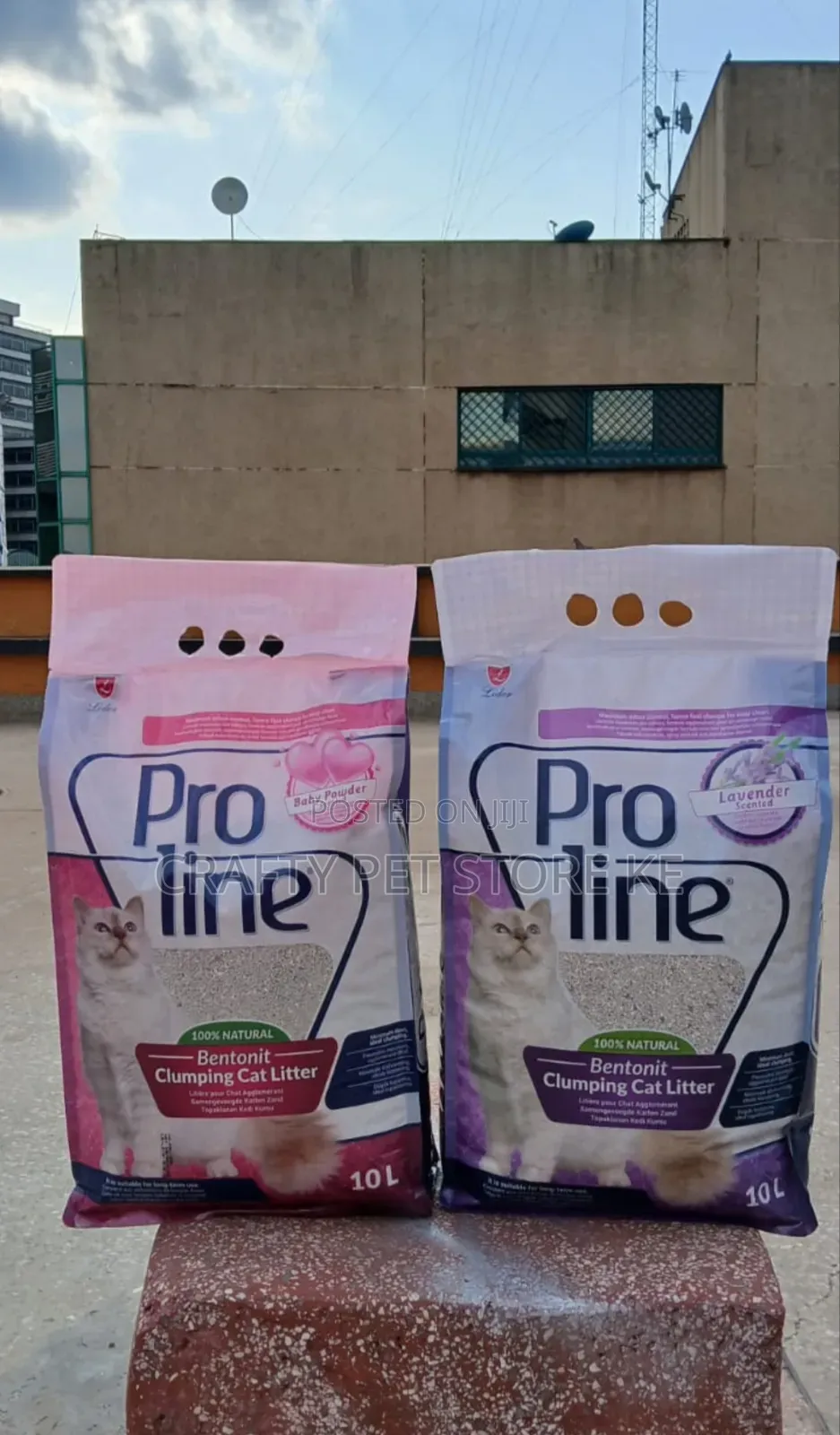 Proline Bentonite Cat Litter