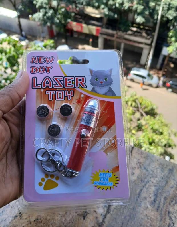 Cat Laser Toy - main view