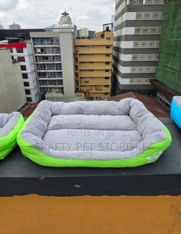 Dog and Cat Beds - main view